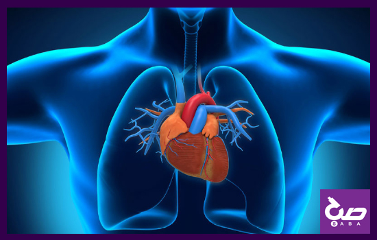 بررسی جواب آزمایش عملکرد قلب