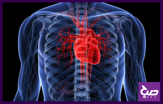 بررسی جواب آزمایش عملکرد قلب