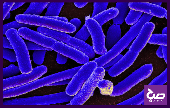 بررسی ازمایش شناسایی میکروب های مسری