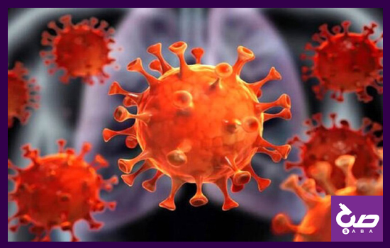 نکات مهم برای جلوگیری از ابتلا به ویروس کرونا