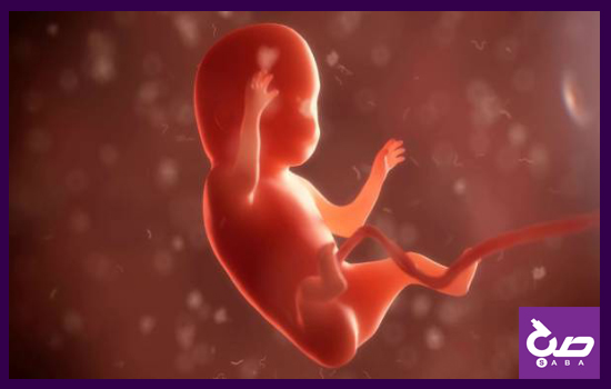 آزمایش های ژنتیک قبل از بارداری چقدر اهمیت دارند؟