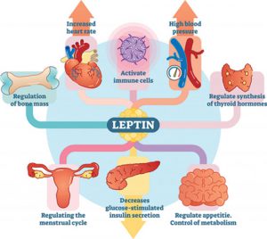 آزمایش Leptin 