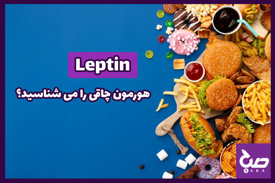 لپتین (Leptin)