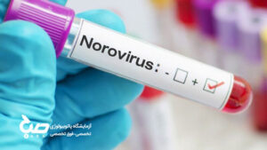 عفونت نوروویروس