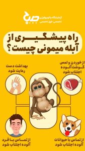 پیشگیری از آبله میمون​